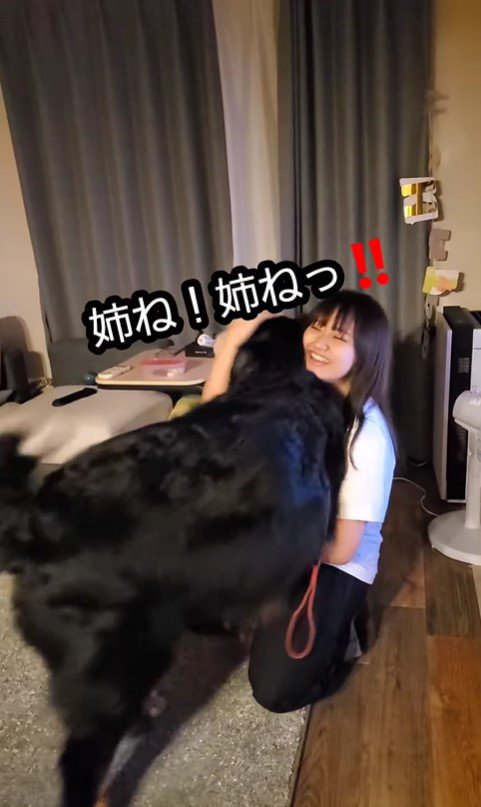 お姉ちゃんが帰省した時の眞秋くん9