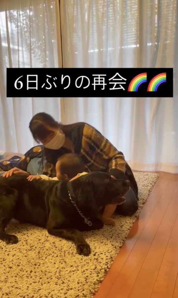 お顔をくっつけてみる