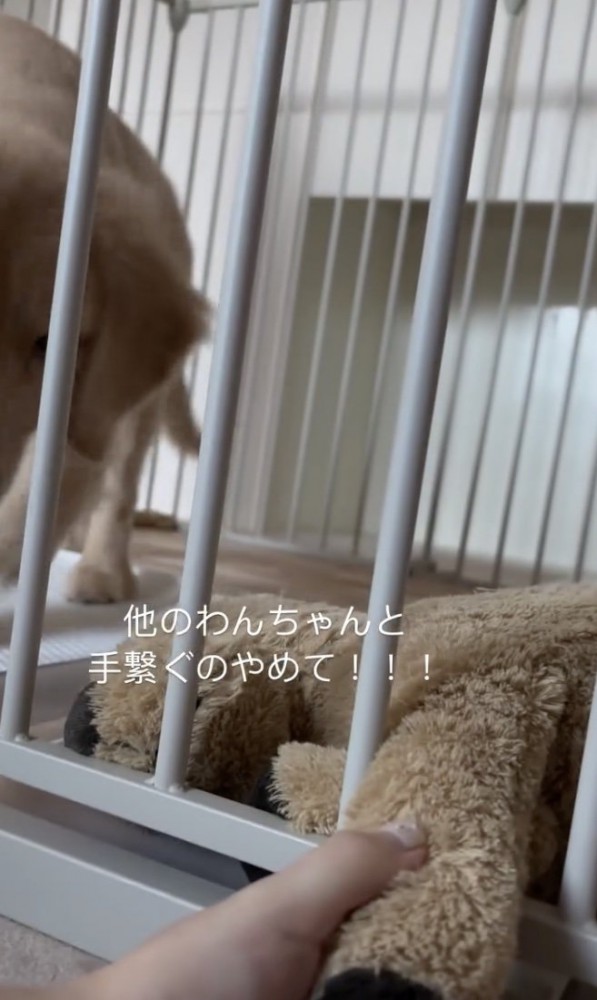 「やめて！！」