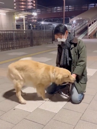 手を甘噛みする大型犬