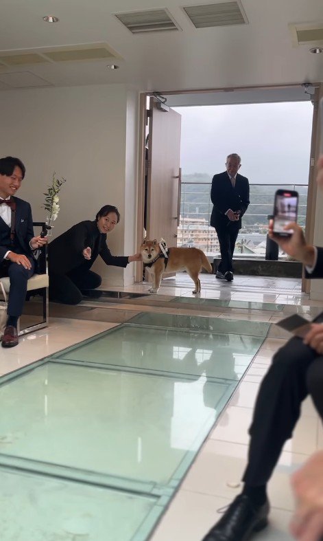 リングドッグを務めるじろー君3