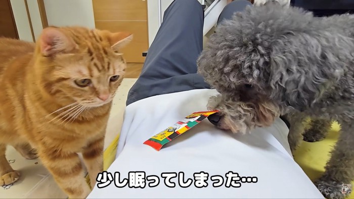 目を覚ましたら…