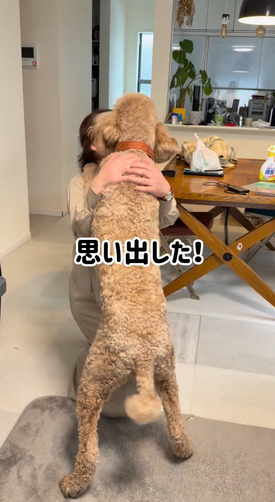 おばあちゃんに飛びつく犬