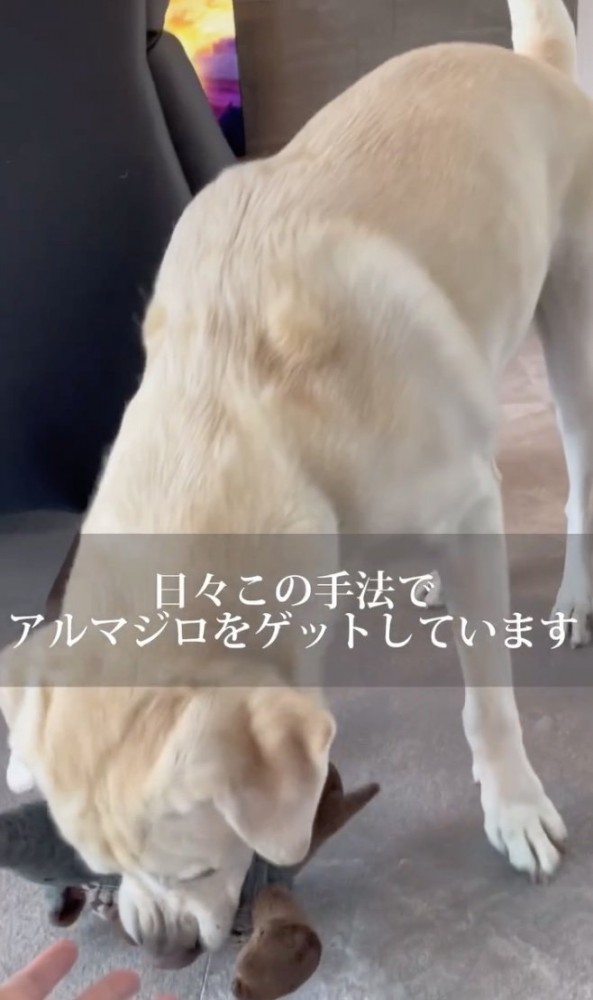 まさか天才…？