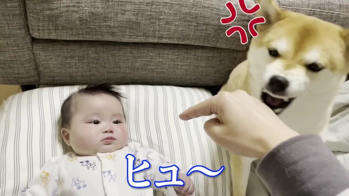 「いじめないで！！」