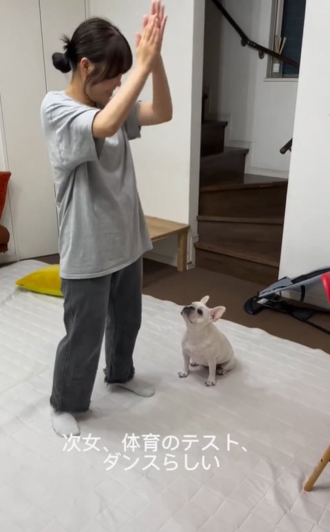 ダンスする高校生を見つめる小型犬