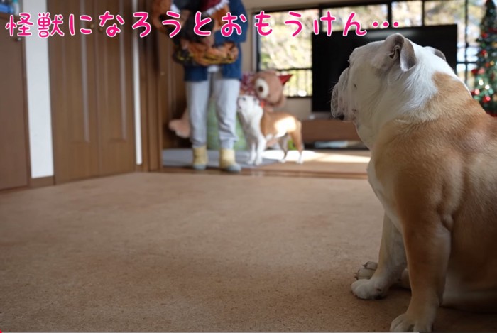 飼い主さんと2匹のブルドッグ