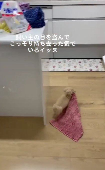 こっそり