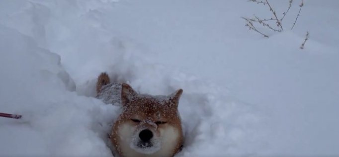 大雪