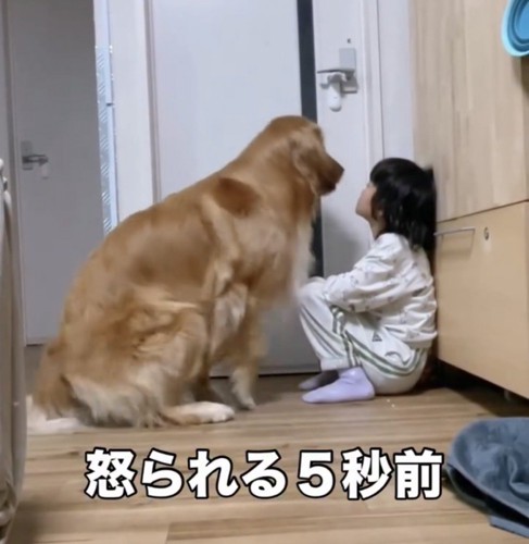 座る犬と女の子