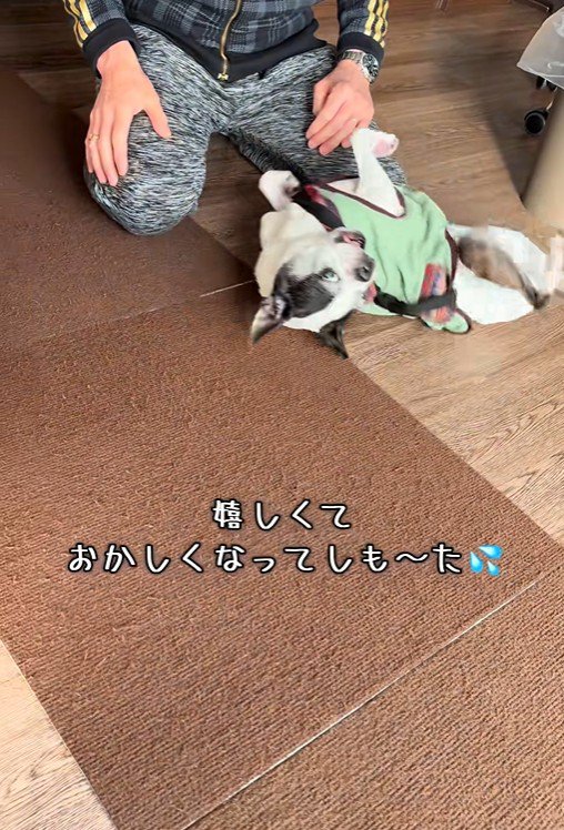 喜びの舞を披露♪