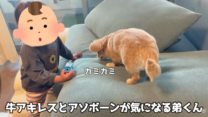 オヤツを食べるハナちゃん&興味津々の男の子