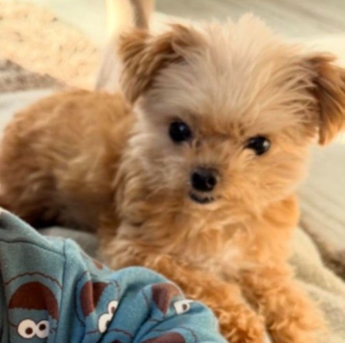 心配し、見守ってくれています