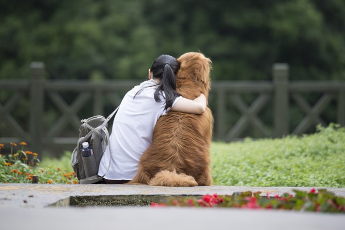 少女と犬