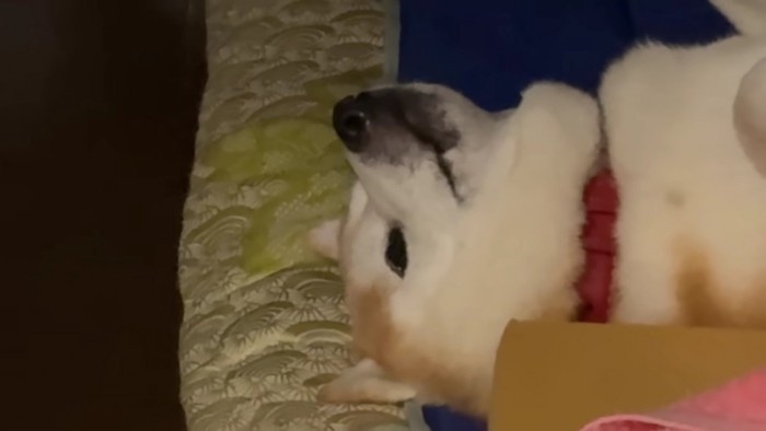 よく見てみると…