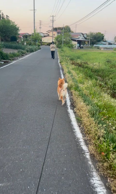 さぶろう君とお姉ちゃんの再会4