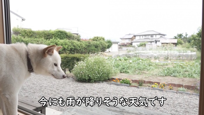 今にも雨が降りそう…