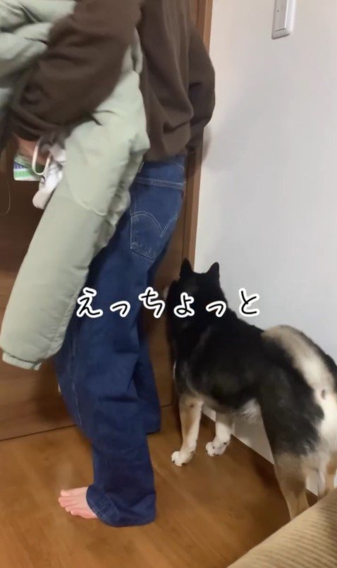 お兄ちゃんを引き止めるダンクくん5