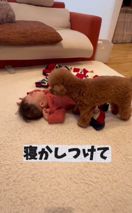 寝かしつけも任せてね