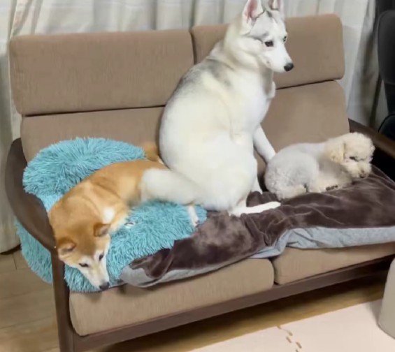 「わたしも混ぜて〜!」