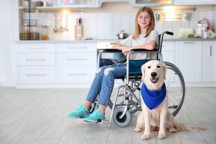 車椅子の女の子と介助犬