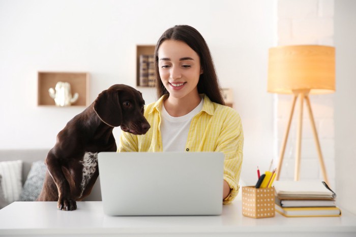 犬と一緒にラップトップを見ている女性