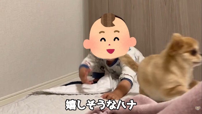 「追いかけっこしよう～！」