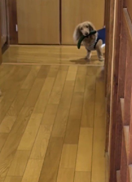 廊下の先には…