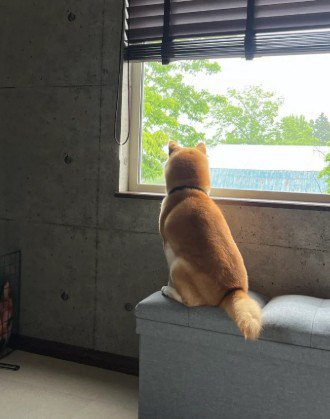 「見てこれ」