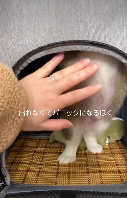 「ここだよ」
