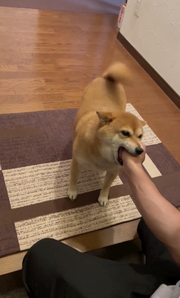 強火の愛がなせる技