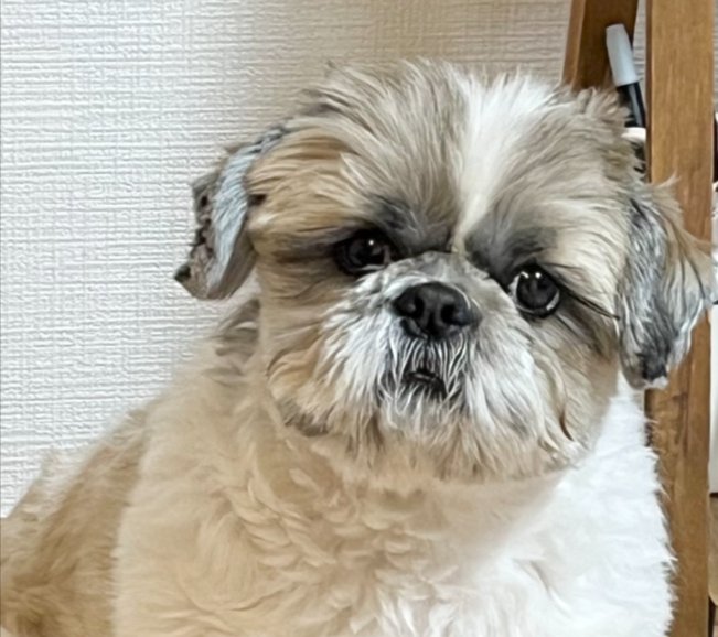 きゅるん