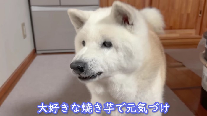 おいもで元気づけ！