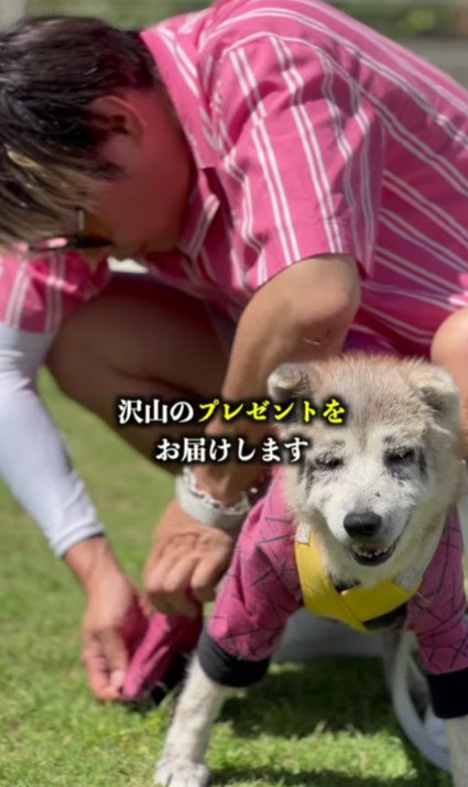 素敵なプレゼント