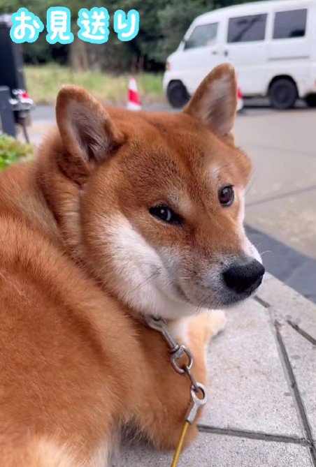 「また来るよね…？」