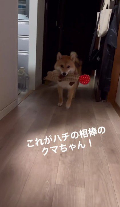 「これも持ってっていい!?」