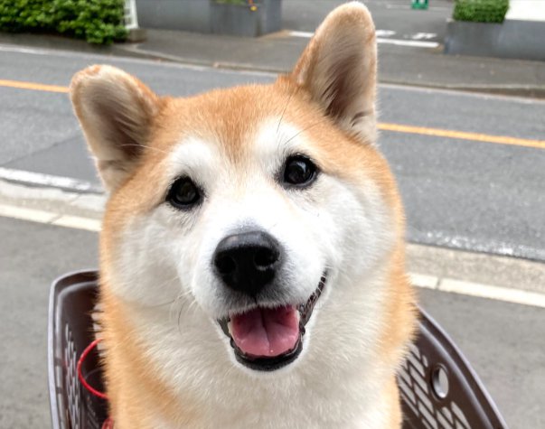 笑顔