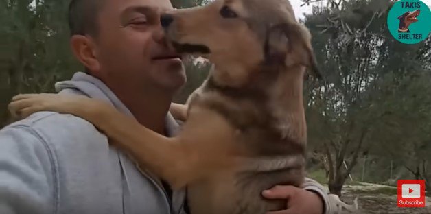 人に抱きつく犬