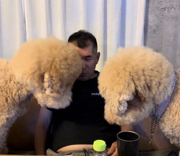 人を左右から覗く2頭の犬