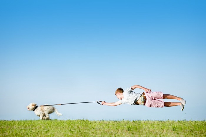 走る犬と引っ張られる少年