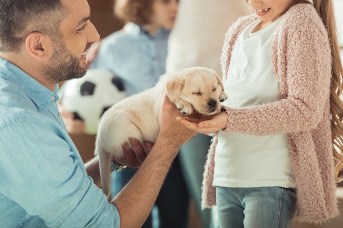 子犬をプレゼントする父親