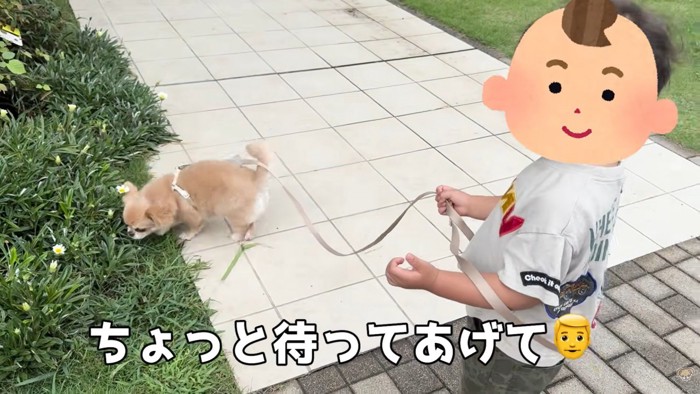 立ち止まると待っていてくれる男の子