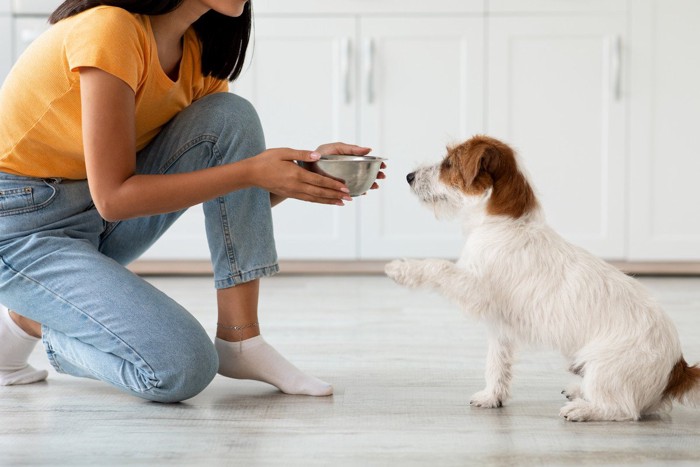 フードボウルをくわえている犬