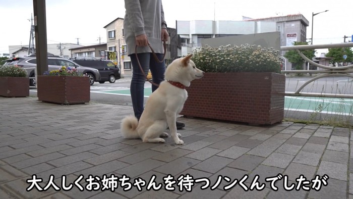 忠犬ハチ公のように待機