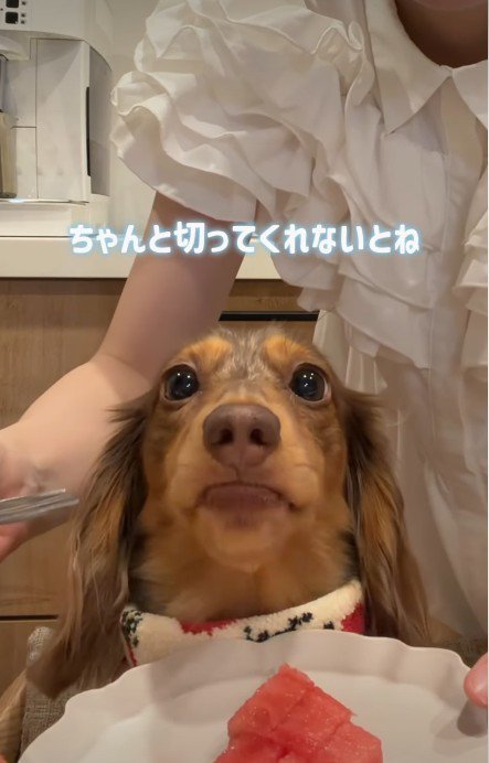 優雅なお嬢様のよう