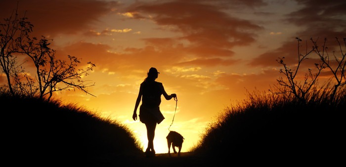 夕日に向かう犬と人