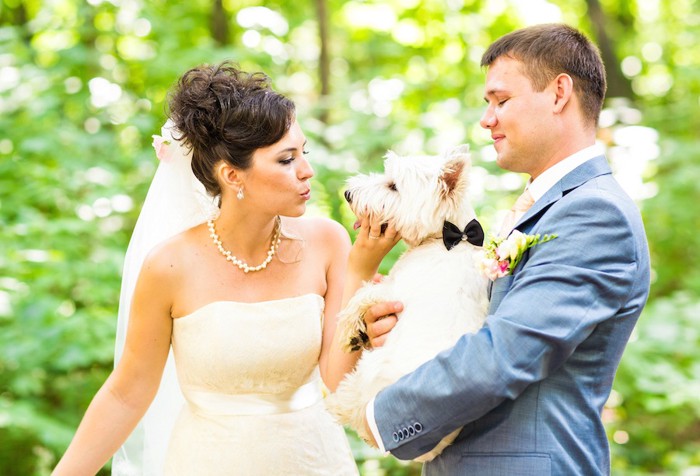 結婚式に参加する犬