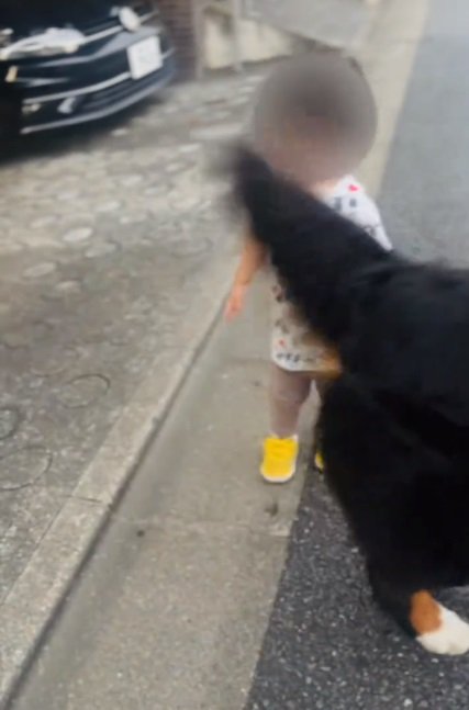 尻尾が直撃する男の子1