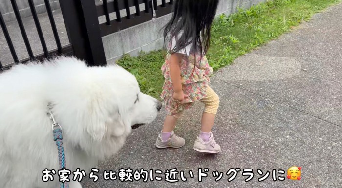 ドッグランにやってきた犬と家族たち