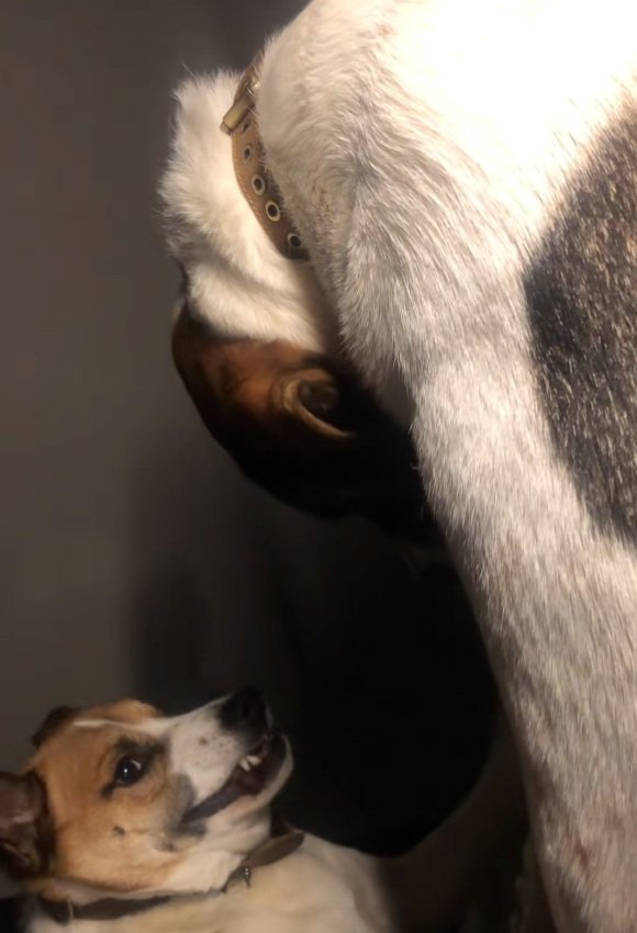 反抗するサナくん